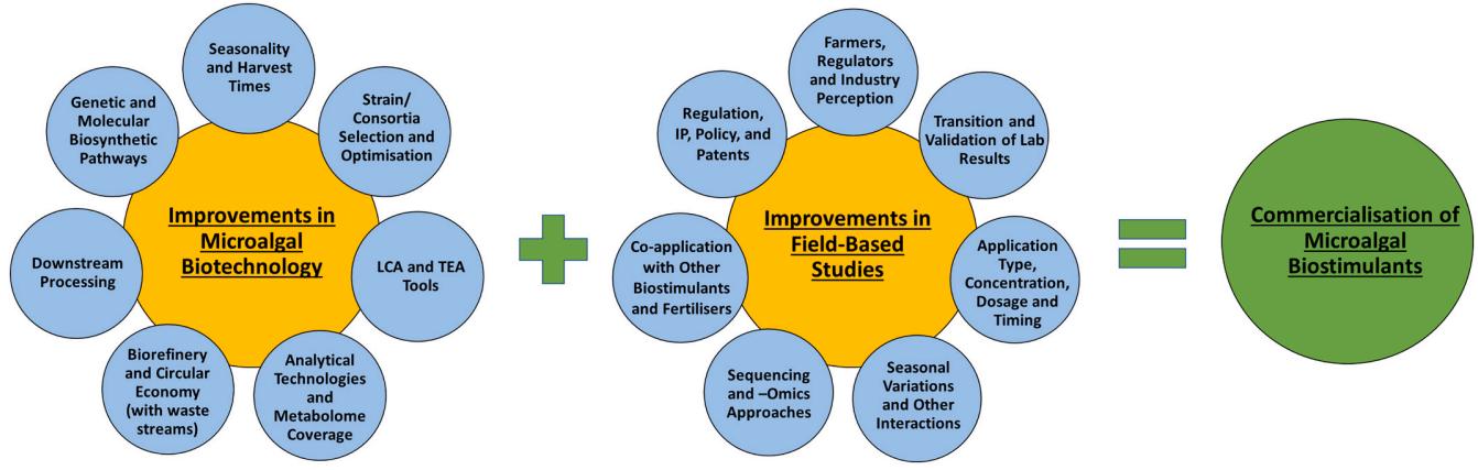 Fig.1 Schematic showing the key to commercialization of microalgae-based bio-stimulants.